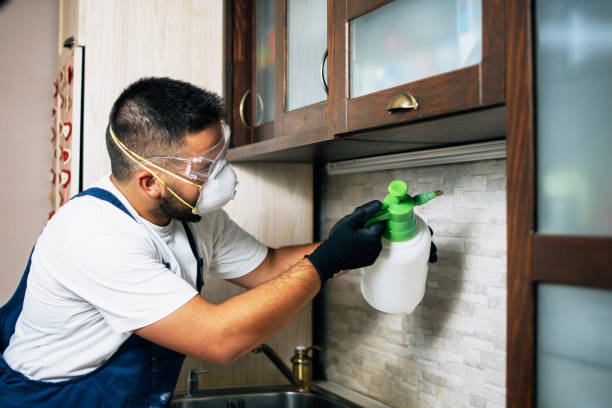 Best Bed Bug Extermination  in Orangeburg, SC