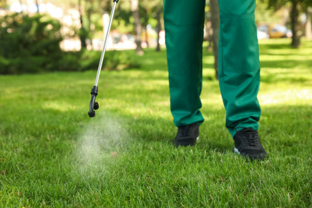 Best Emergency Pest Control  in Orangeburg, SC