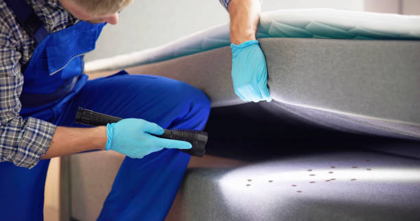 Pest Control Cost in Orangeburg, SC