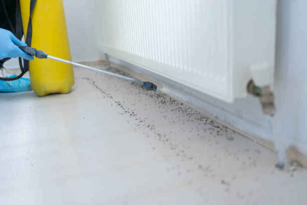 Professional Pest Control in Orangeburg, SC